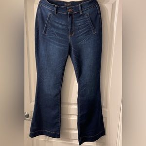 EUC Size 16W judy Blue jeans
